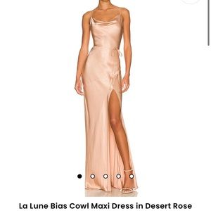 Shona Joy Desert Rose Colored Dress